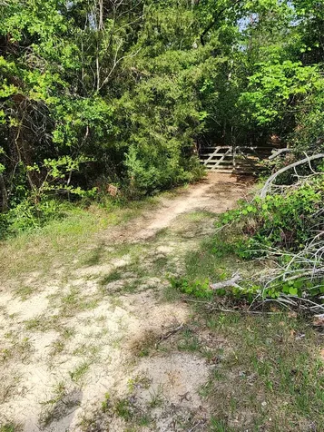 Tbd Ward Road Cleveland TX 77328