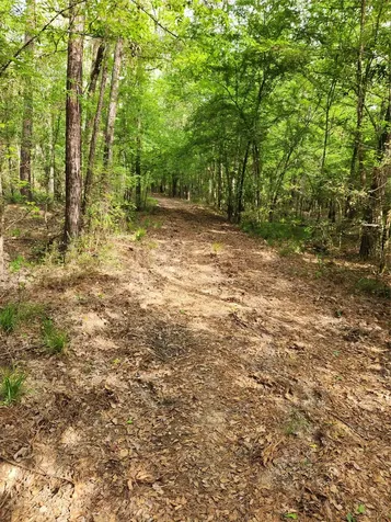 Tbd Ward Road Cleveland TX 77328
