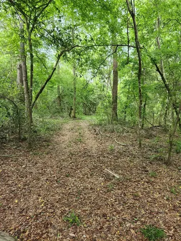 Tbd Ward Road Cleveland TX 77328