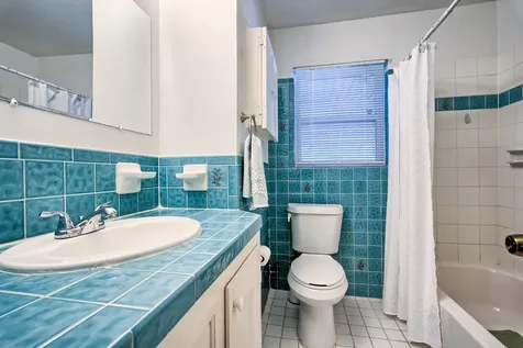 5907 Nancy Ann Street Houston TX 77009