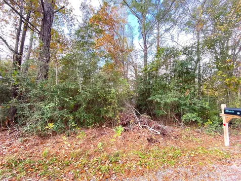 Lot 20 Lula Drive Huntsville TX 77320