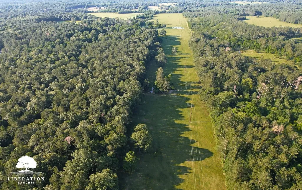Tbd John Warren Lot 6 Road Coldspring TX 77331