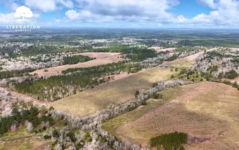 Tbd John Warren Lot 6 Road Coldspring TX 77331