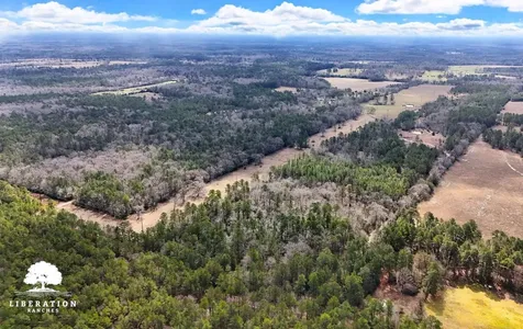 Tbd John Warren Lot 6 Road Coldspring TX 77331