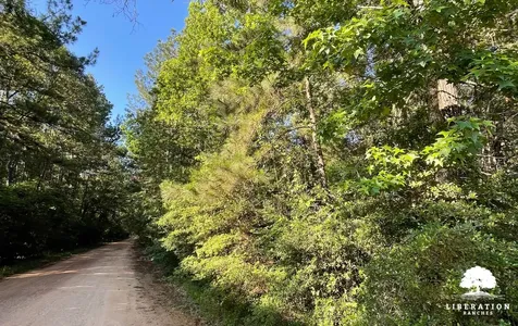 Tbd John Warren Lot 6 Road Coldspring TX 77331