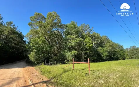 Tbd John Warren Lot 6 Road Coldspring TX 77331
