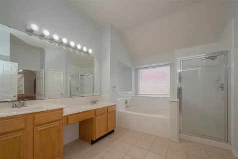 7302 Colony View Lane Missouri City TX 77459