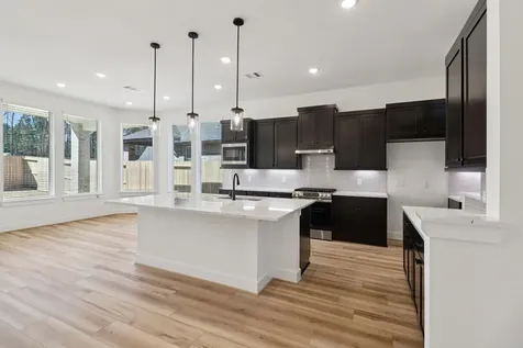 9738 Roaring River Falls Lane Porter TX 77365