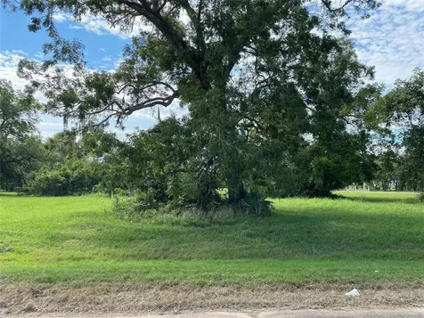 106 Horse Shoe Trail Angleton TX 77515
