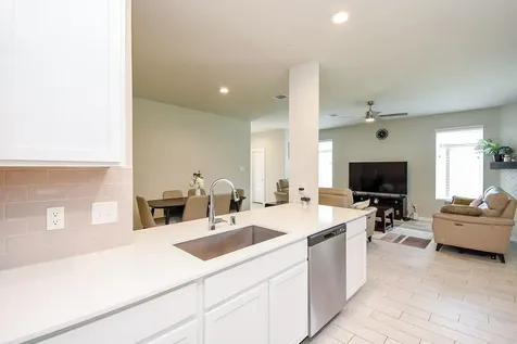 2222 Emerald Diamond Court Fresno TX 77545