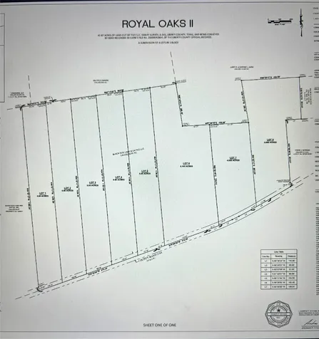 Tbd Lot 4 County Road 2184 Cleveland TX 77327