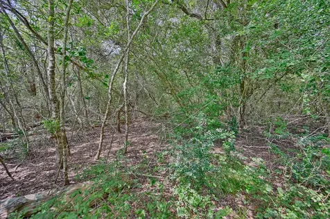 Tbd Fm 2981 Fayetteville TX 78940