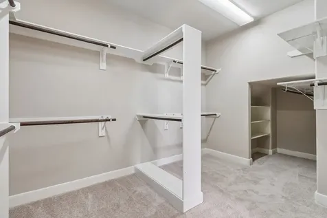 15 Verdin Place The Woodlands TX 77389