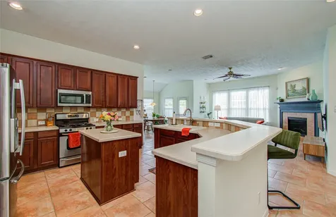 20007 Alcea Court Spring TX 77379