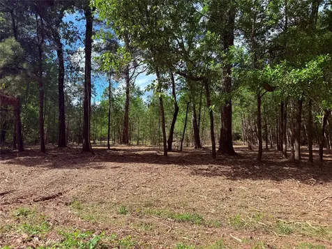 0 Daniel Street Magnolia TX 77354