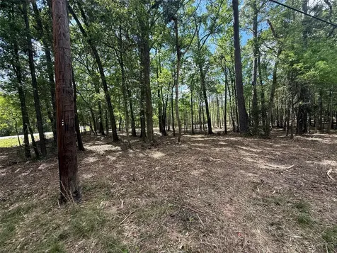 0 Daniel Street Magnolia TX 77354