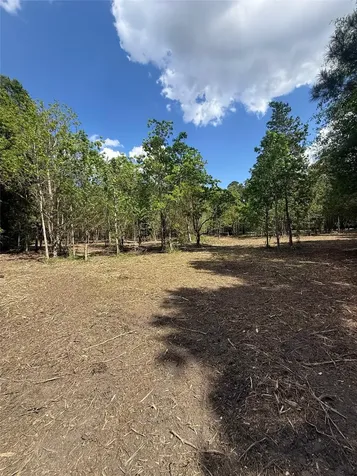 0 Daniel Street Magnolia TX 77354
