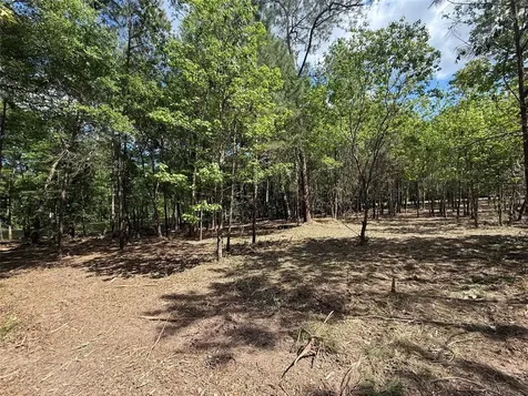 0 Daniel Street Magnolia TX 77354