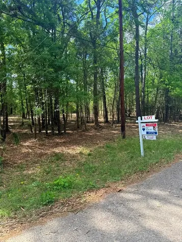 0 Daniel Street Magnolia TX 77354