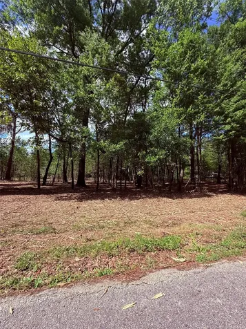 0 Daniel Street Magnolia TX 77354