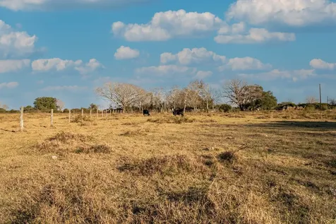 Tbd County Road 443/446 Ganado TX 77962