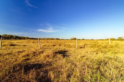 Tbd County Road 443/446 Ganado TX 77962