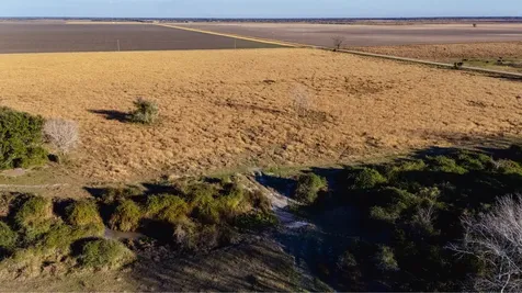 Tbd County Road 443/446 Ganado TX 77962