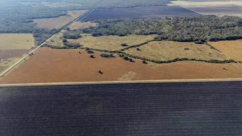 Tbd County Road 443/446 Ganado TX 77962