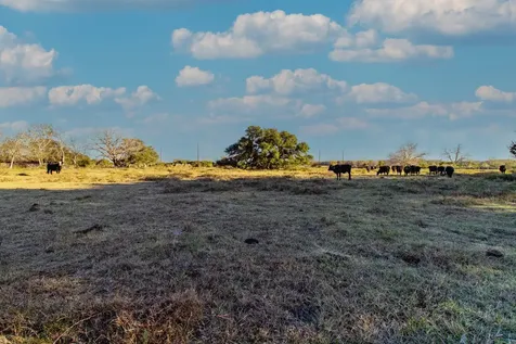 Tbd County Road 443/446 Ganado TX 77962