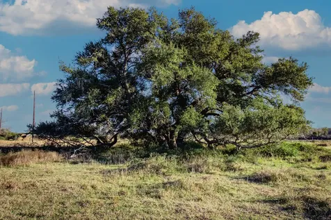 Tbd County Road 443/446 Ganado TX 77962