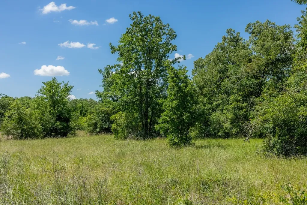 10677 Brushwood Cutoff Bedias TX 77831