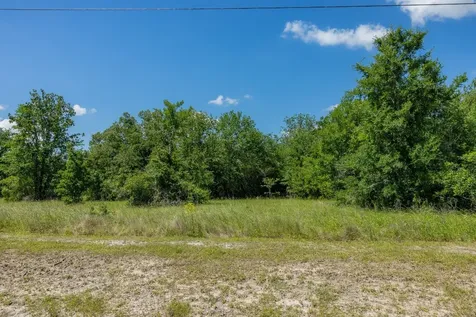 10677 Brushwood Cutoff Bedias TX 77831