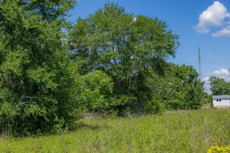 10677 Brushwood Cutoff Bedias TX 77831