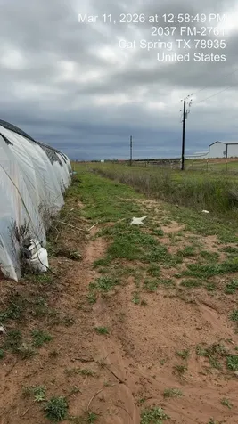 2037 Fm 2761 Alleyton TX 78935