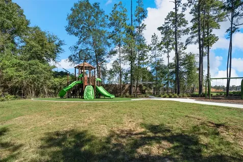 39219 Water Rail Court Magnolia TX 77354