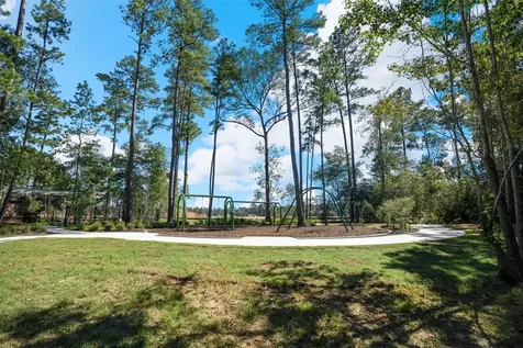39219 Water Rail Court Magnolia TX 77354