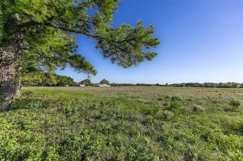 Tract 2 Nelius Road Bellville TX 77418