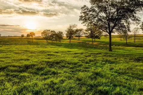 Tbd Sunny Meadow Lot 26 Drive Chappell Hill TX 77426