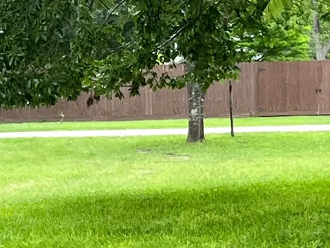 Tbd 1st Avenue Columbus TX 78934