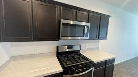 12418 Pelican Bay Houston TX 77038