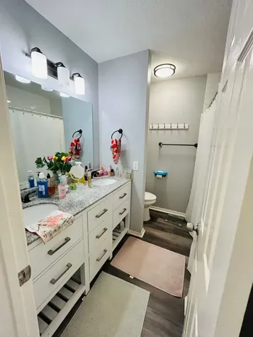 7226 Lost Fable Lane Houston TX 77095