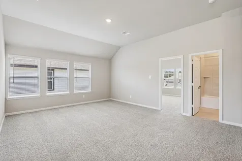 29006 Maggie View Court Waller TX 77484