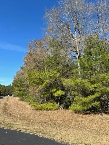 17751 Appaloosa Drive Waller TX 77484