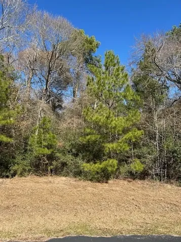 17751 Appaloosa Drive Waller TX 77484