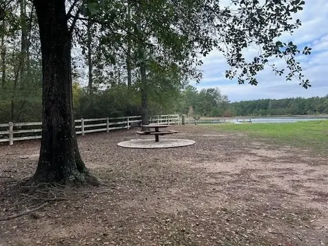 17751 Appaloosa Drive Waller TX 77484