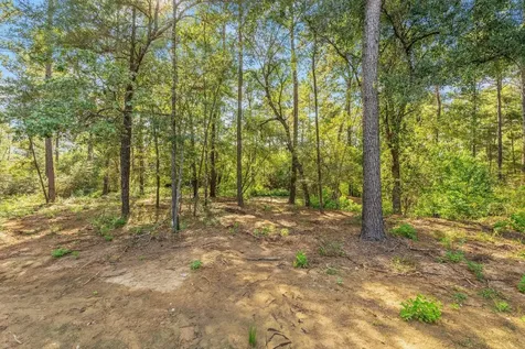 9258 Cedar Bend Plantersville TX 77363