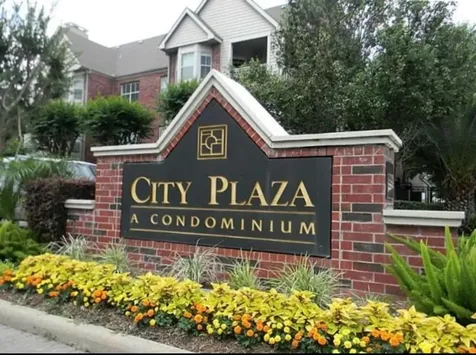 1330 Old Spanish Trail 8103 Houston TX 77054