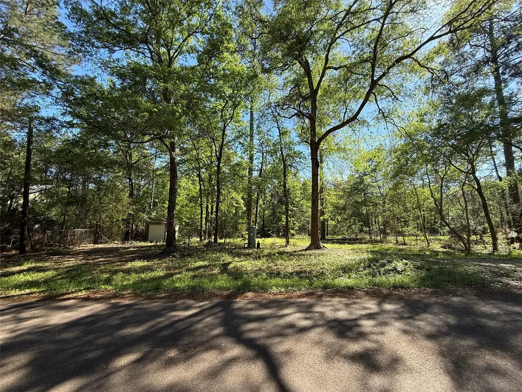 13959 County Road 201 Loop Plantersville TX 77363