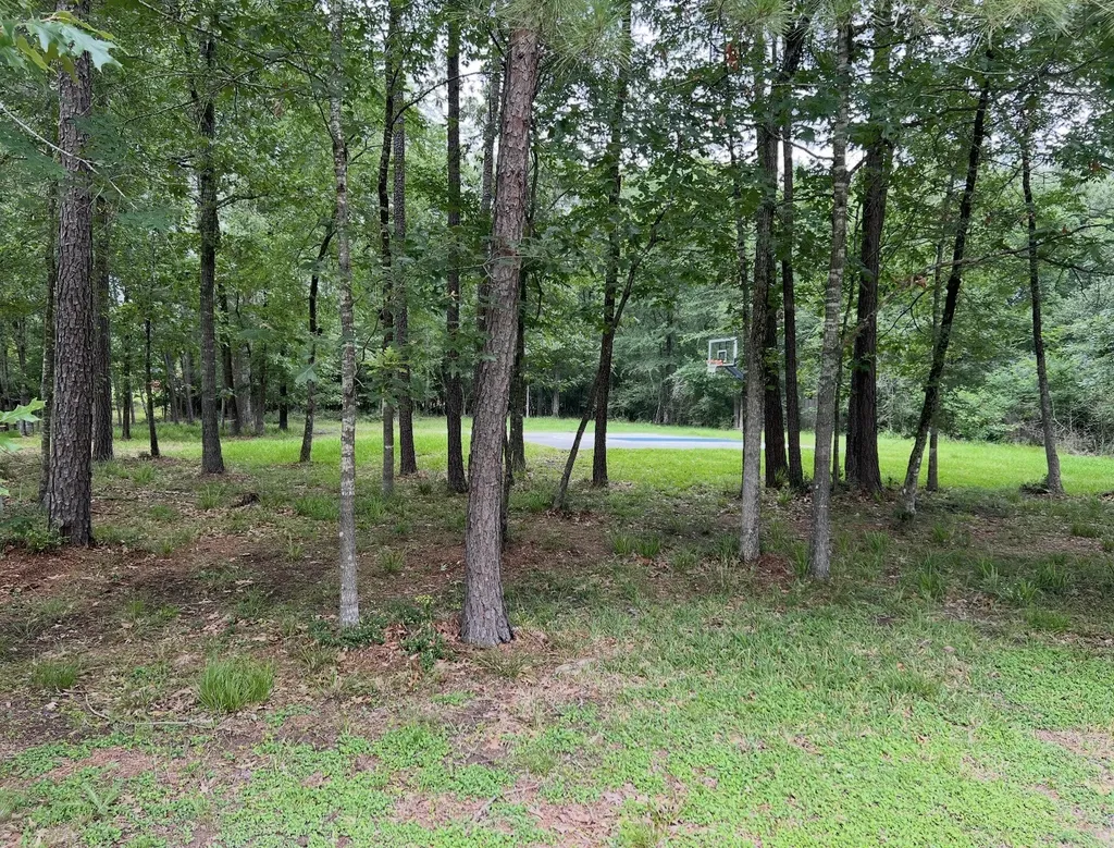 11455 Lake Oak Drive Montgomery TX 77356