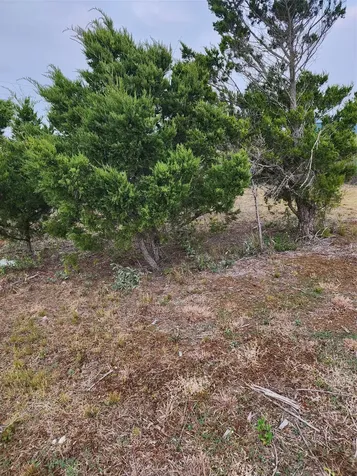 231 Nautilus Street S Sargent TX 77414